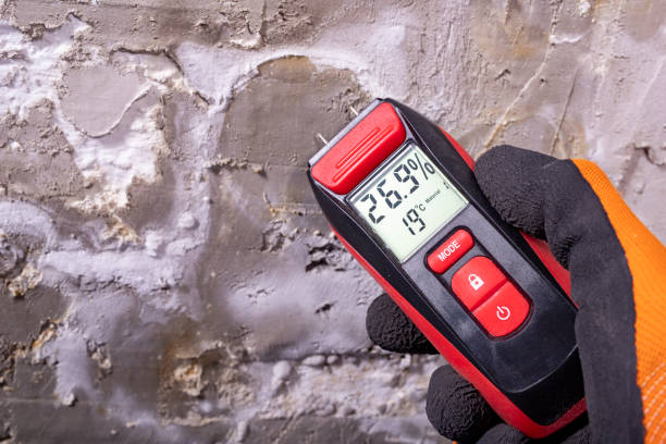 Best DIY Mold Remediation Support Services in Glendive, MT