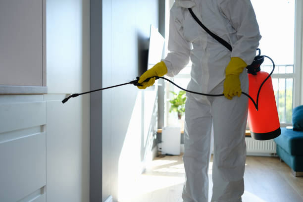 Best Black Mold Remediation in Glendive, MT