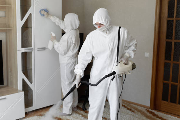 Best Industrial Mold Remediation in Glendive, MT